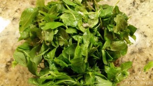 Chicken Paillard with Rosemary Potatoes and Germolata 11