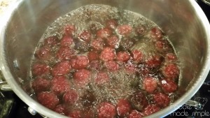 Seared Elk Medallions with Blackberry Balsamic Sauce 2