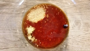 Slow-Cooker Citrus-Soy Chicken 4